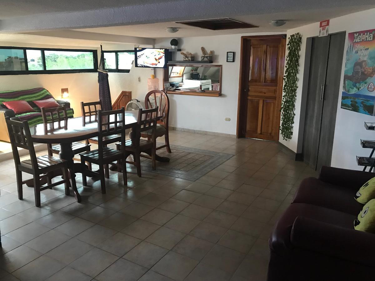 Izsla Hostel Playa Del Carmen 신데 델 카르멘 외부 사진