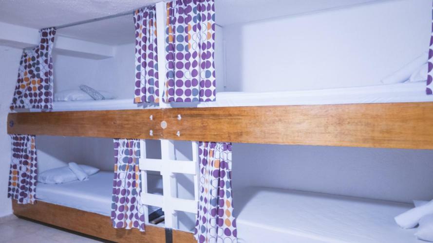 Izsla Hostel Playa Del Carmen 신데 델 카르멘 외부 사진