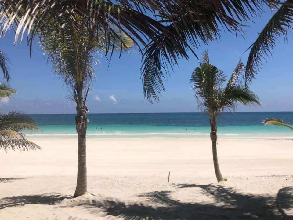 Izsla Hostel Playa Del Carmen 신데 델 카르멘 외부 사진